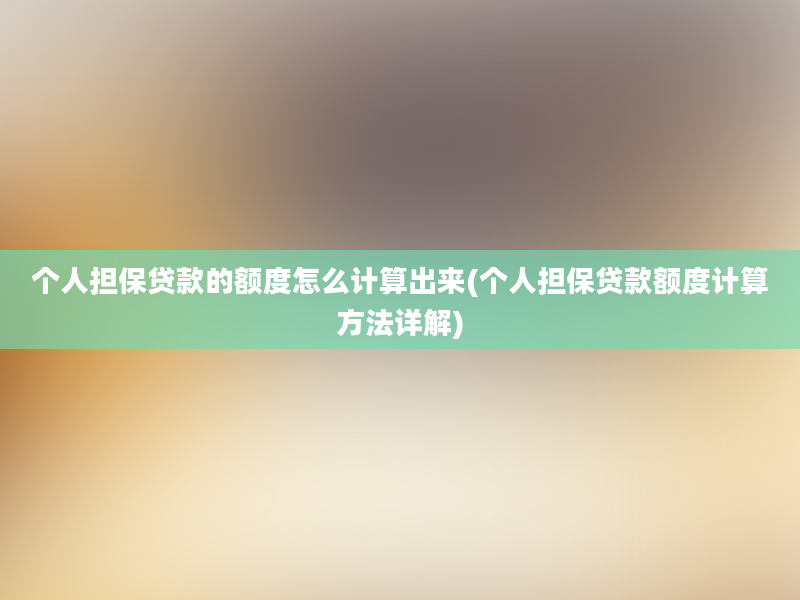 个人担保贷款的额度怎么计算出来(个人担保贷款额度计算方法详解)