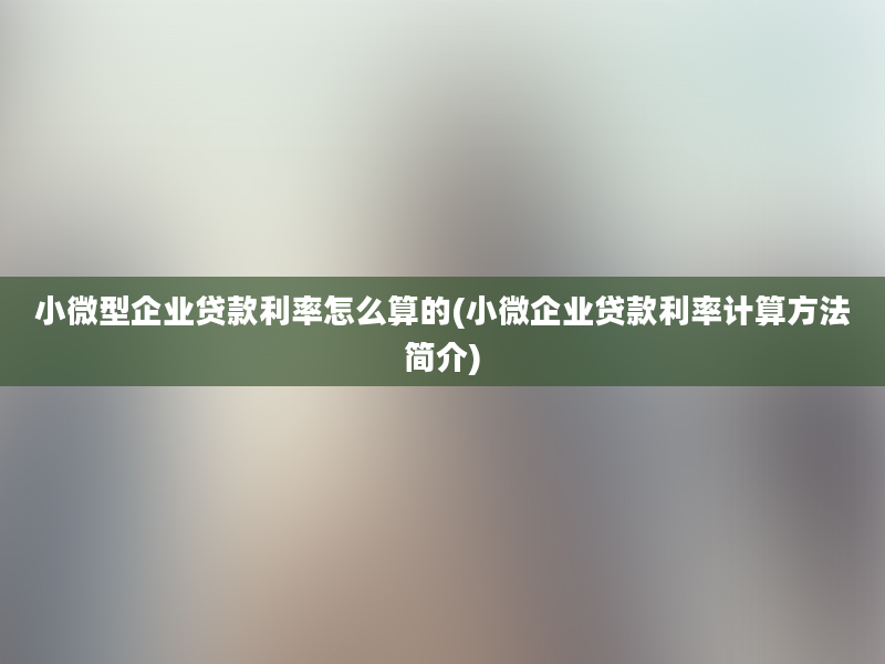 小微型企业贷款利率怎么算的(小微企业贷款利率计算方法简介)