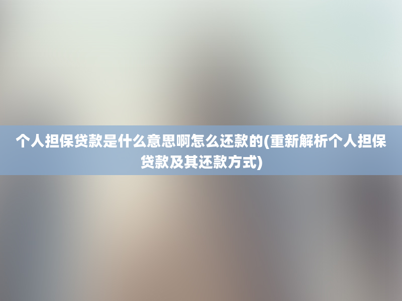 个人担保贷款是什么意思啊怎么还款的(重新解析个人担保贷款及其还款方式)