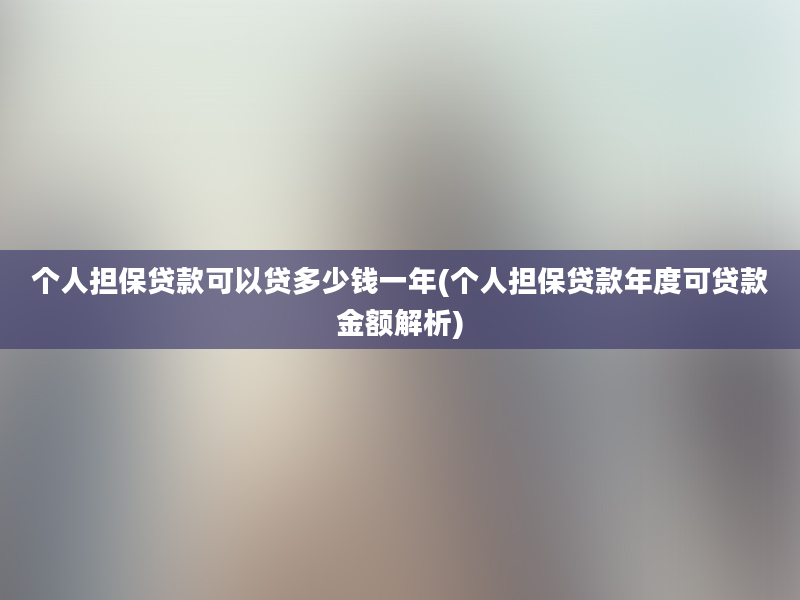 个人担保贷款可以贷多少钱一年(个人担保贷款年度可贷款金额解析)