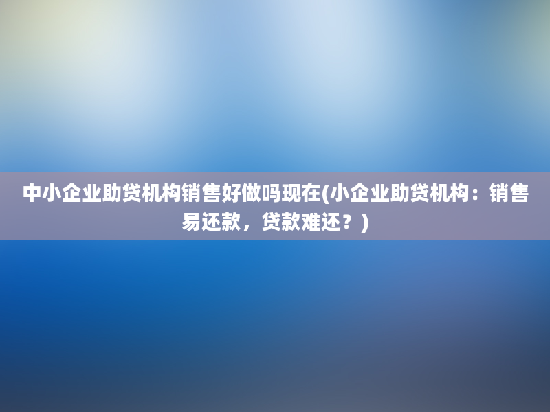 中小企业助贷机构销售好做吗现在(小企业助贷机构：销售易还款，贷款难还？)