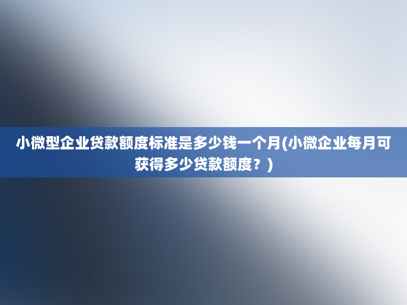 小微型企业贷款额度标准是多少钱一个月(小微企业每月可获得多少贷款额度？)