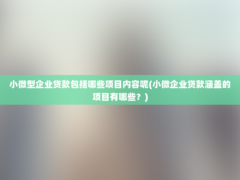 小微型企业贷款包括哪些项目内容呢(小微企业贷款涵盖的项目有哪些？)