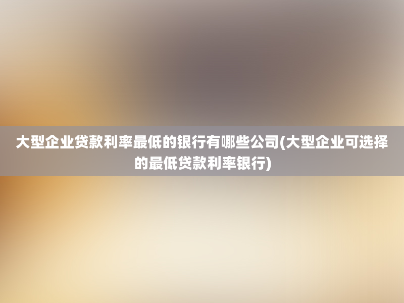 大型企业贷款利率最低的银行有哪些公司(大型企业可选择的最低贷款利率银行)