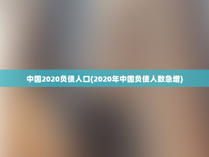 中国2020负债人口(2020年中国负债人数急增)