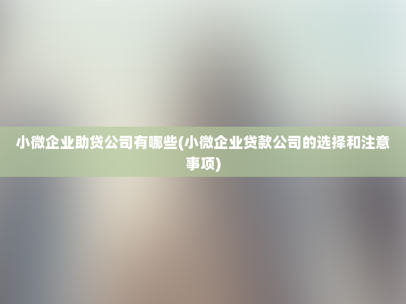 小微企业助贷公司有哪些(小微企业贷款公司的选择和注意事项)