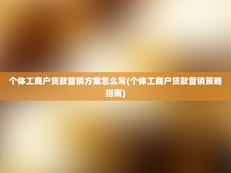 个体工商户贷款营销方案怎么写(个体工商户贷款营销策略指南)