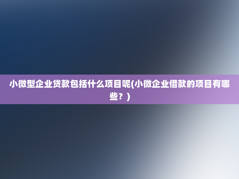 小微型企业贷款包括什么项目呢(小微企业借款的项目有哪些？)