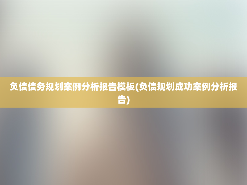 负债债务规划案例分析报告模板(负债规划成功案例分析报告)