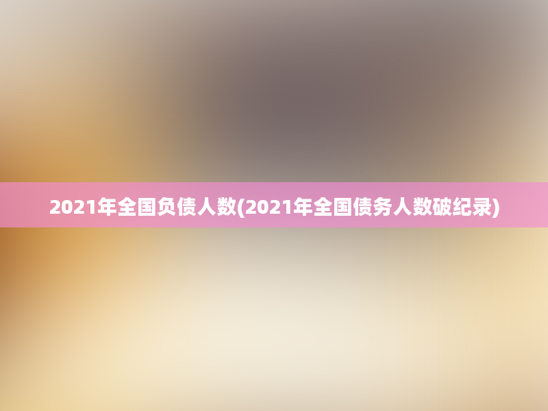 2021年全国负债人数(2021年全国债务人数破纪录)