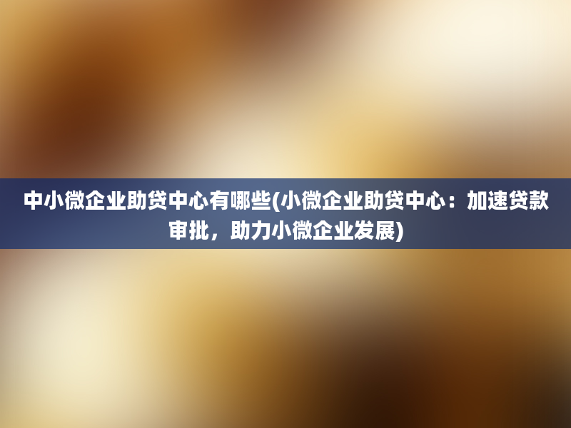 中小微企业助贷中心有哪些(小微企业助贷中心：加速贷款审批，助力小微企业发展)