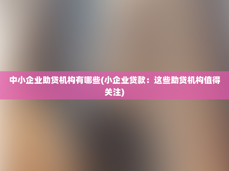 中小企业助贷机构有哪些(小企业贷款：这些助贷机构值得关注)