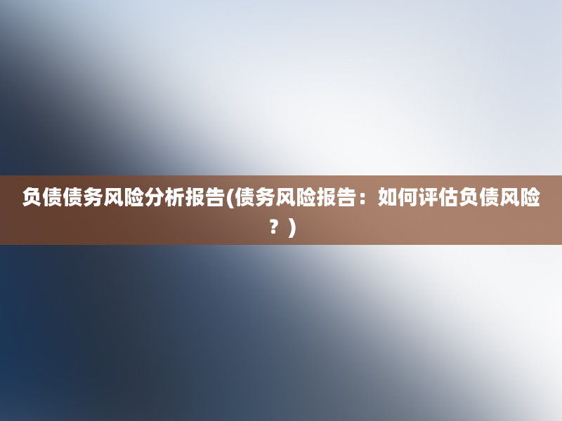 负债债务风险分析报告(债务风险报告：如何评估负债风险？)