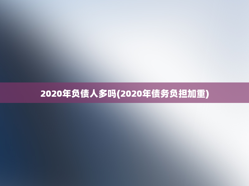 2020年负债人多吗(2020年债务负担加重)