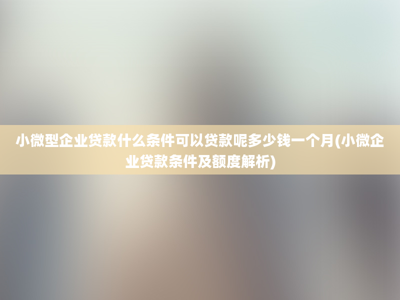 小微型企业贷款什么条件可以贷款呢多少钱一个月(小微企业贷款条件及额度解析)