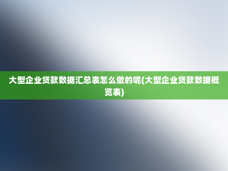 大型企业贷款数据汇总表怎么做的呢(大型企业贷款数据概览表)