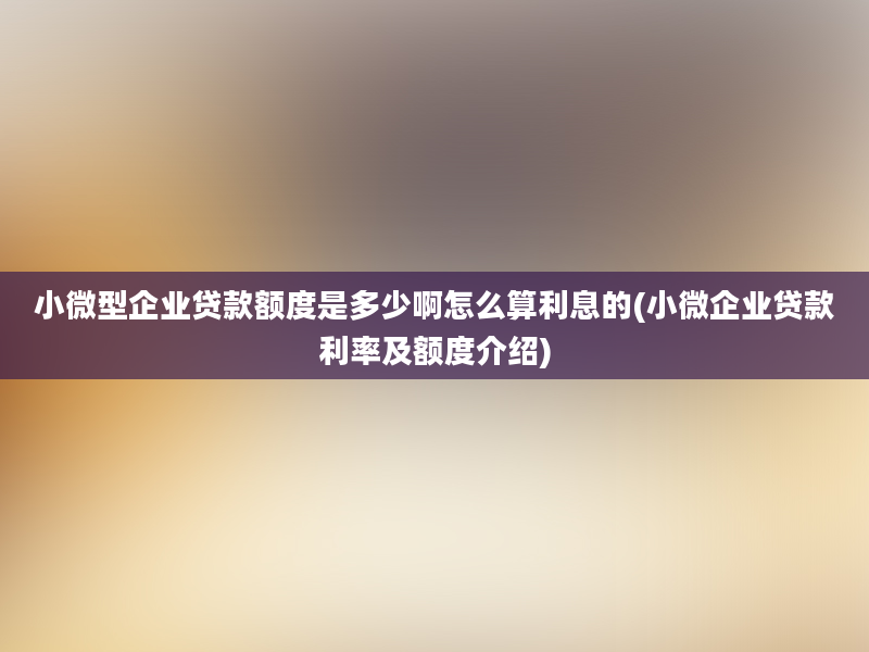 小微型企业贷款额度是多少啊怎么算利息的(小微企业贷款利率及额度介绍)