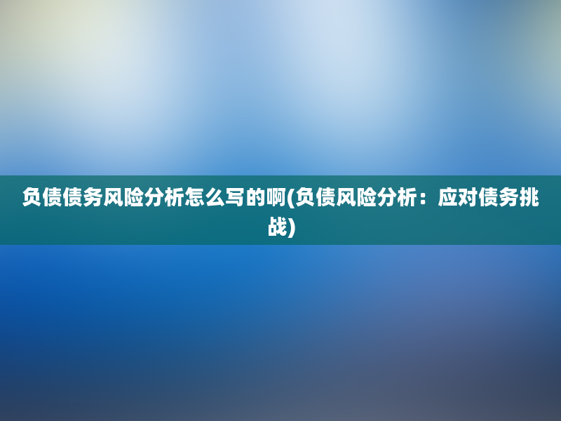 负债债务风险分析怎么写的啊(负债风险分析：应对债务挑战)