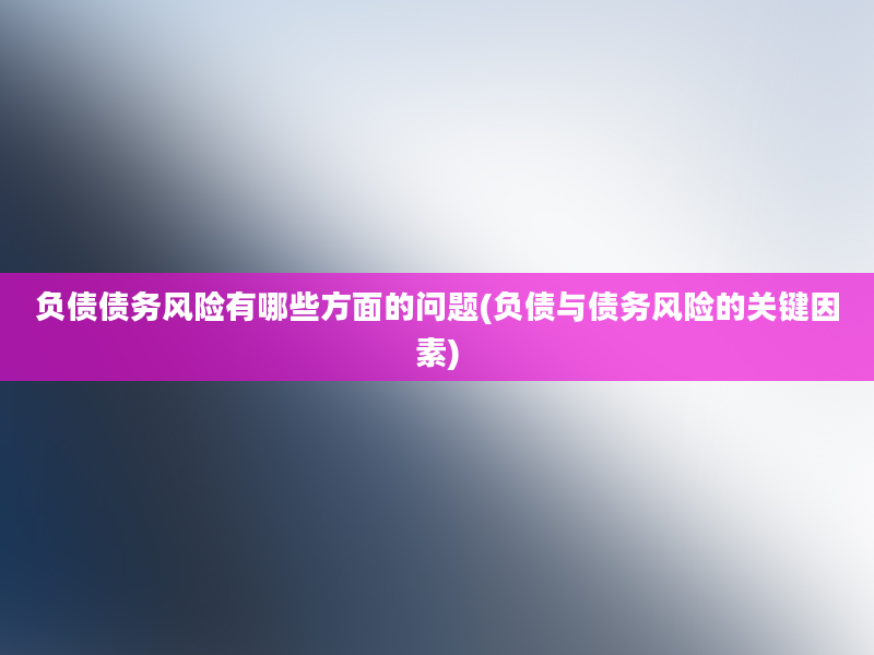 负债债务风险有哪些方面的问题(负债与债务风险的关键因素)