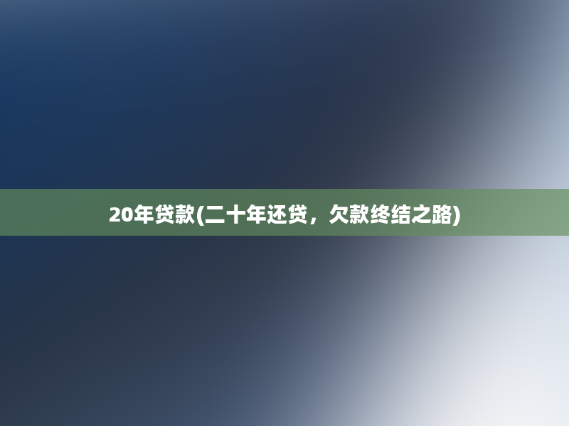 20年贷款(二十年还贷，欠款终结之路)