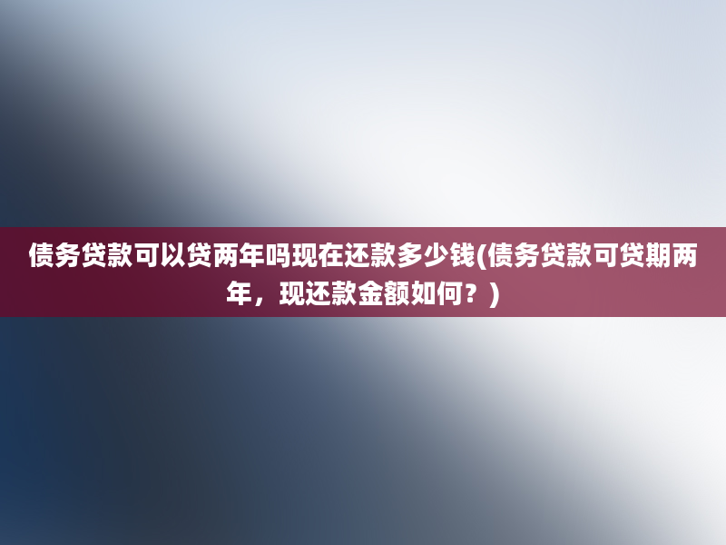 债务贷款可以贷两年吗现在还款多少钱(债务贷款可贷期两年，现还款金额如何？)