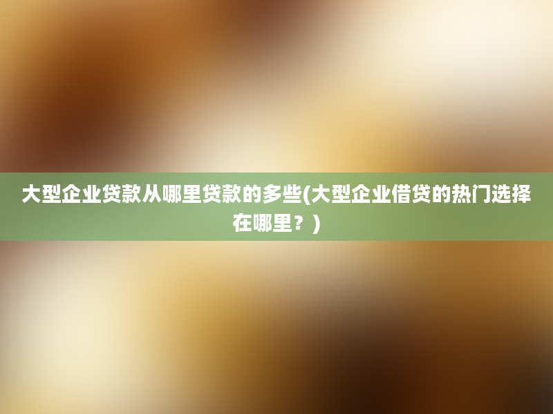 大型企业贷款从哪里贷款的多些(大型企业借贷的热门选择在哪里？)