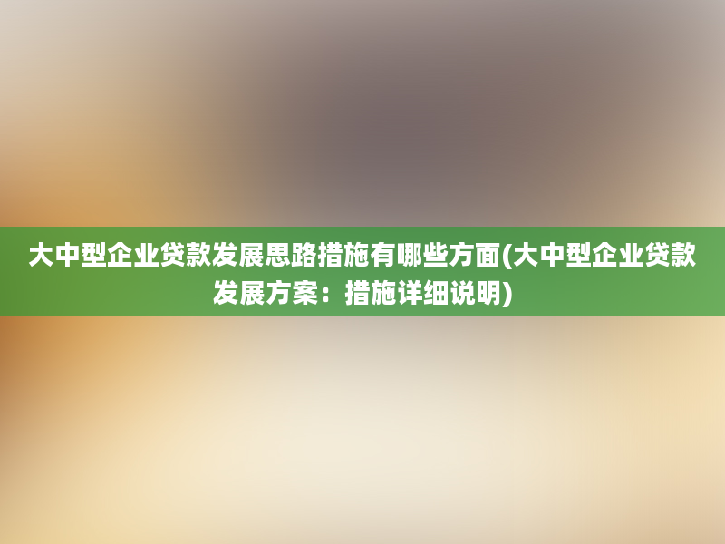 大中型企业贷款发展思路措施有哪些方面(大中型企业贷款发展方案：措施详细说明)