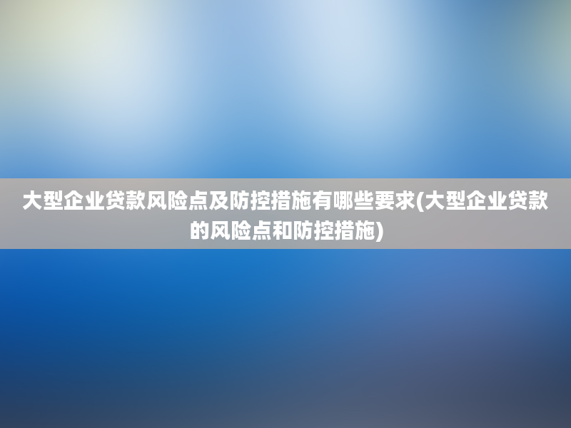 大型企业贷款风险点及防控措施有哪些要求(大型企业贷款的风险点和防控措施)