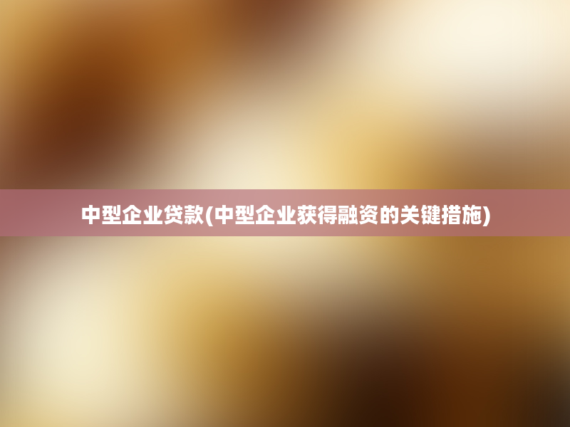 中型企业贷款(中型企业获得融资的关键措施)