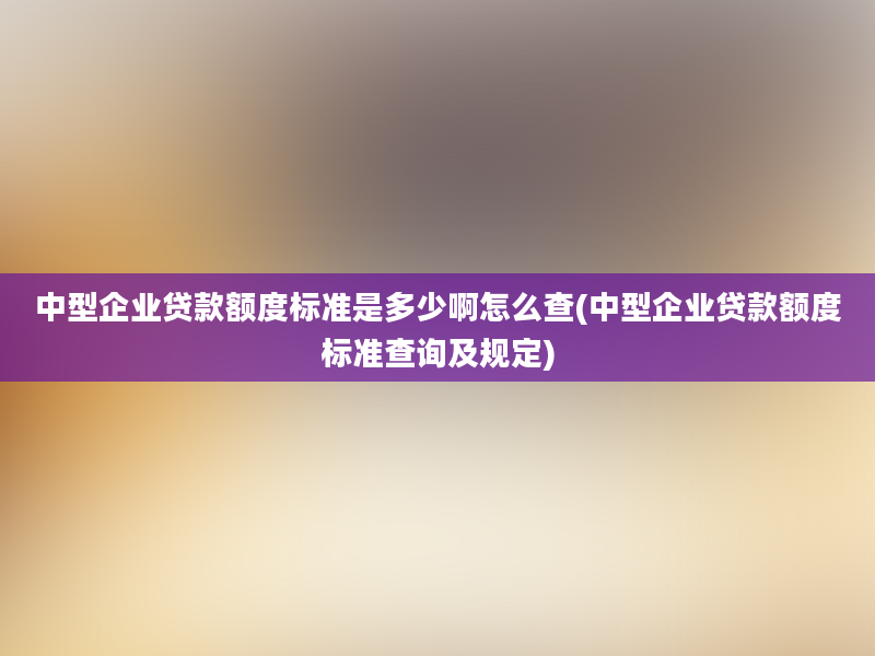 中型企业贷款额度标准是多少啊怎么查(中型企业贷款额度标准查询及规定)