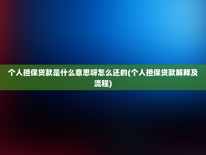 个人担保贷款是什么意思呀怎么还的(个人担保贷款解释及流程)