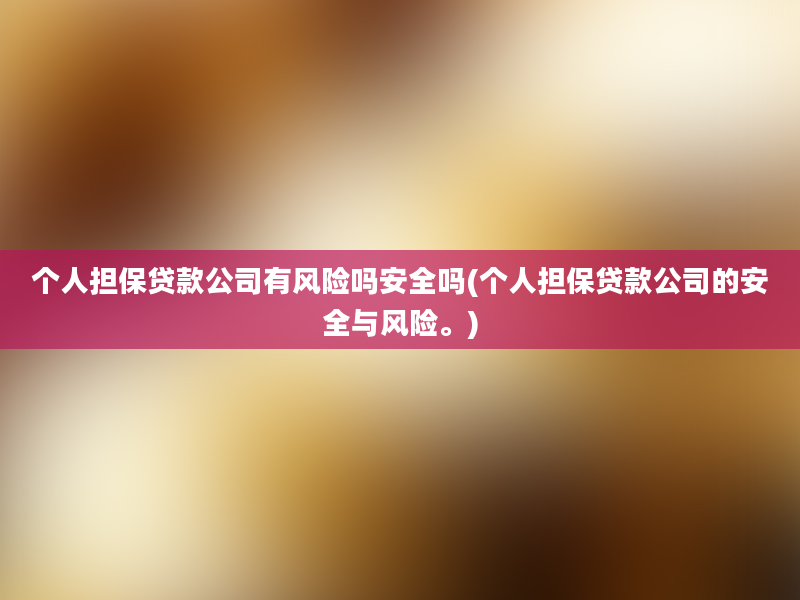 个人担保贷款公司有风险吗安全吗(个人担保贷款公司的安全与风险。)