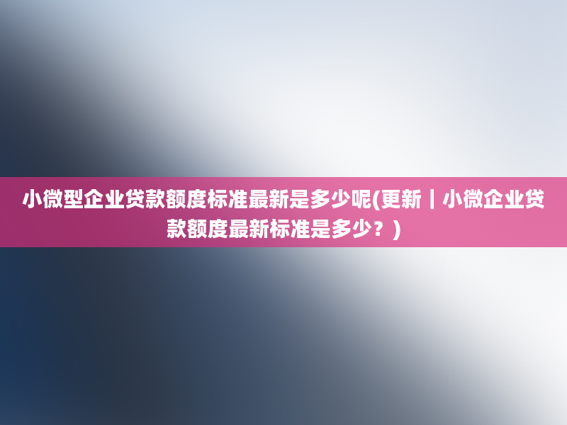 小微型企业贷款额度标准最新是多少呢(更新｜小微企业贷款额度最新标准是多少？)